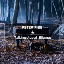 Talking About Silence