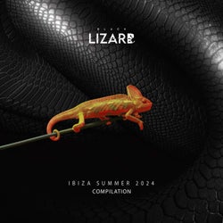Ibiza Summer Compilation 2024