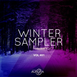 Winter Sampler 01