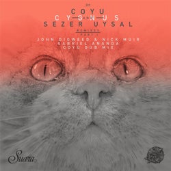 Cygnus Remixes Part 1