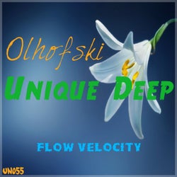 Flow Velocity
