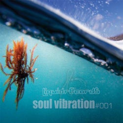 Soul Vibration #001