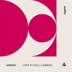 Lost In You / Carbon - Extended Mixes