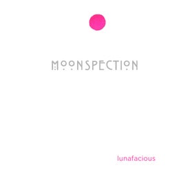 Moonspection