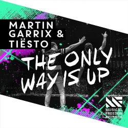 The Only Way Is Up Chart - Martin Garrix