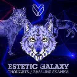 Thoughts / Bassline Skanka