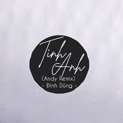 Tình Anh (Andy Remix)