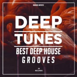 Deep Tunes (Best Deep House Grooves)