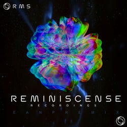 Reminiscense (EANP Memory Surge Remix)
