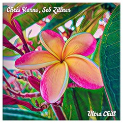 Ultra Chill (feat. Seb Zillner)
