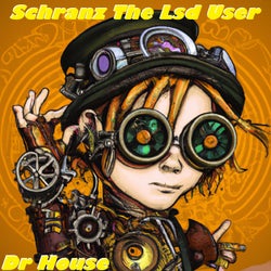 Schranz The Lsd User