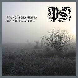 Pauke Schaumburg - January Selections