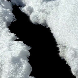 Entropia