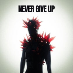 Never Give Up