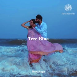 Tere Bina