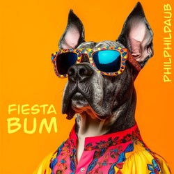 Fiesta Bum (Radio Edit)