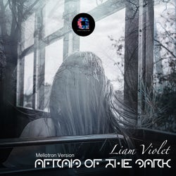 Afraid Of The Dark (Mellotron Version)