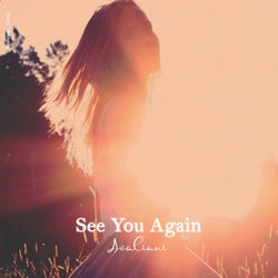 See You Again