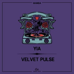 Velvet Pulse