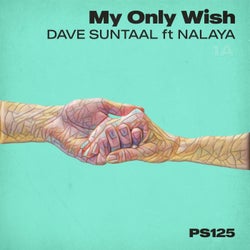 My Only Wish