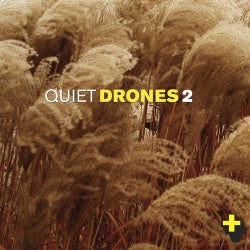 Quiet Drones 2