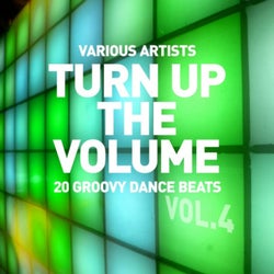 Turn up the Volume (20 Groovy Dance Beats), Vol. 4