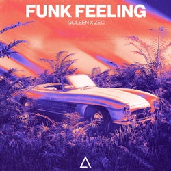 Funk Feeling