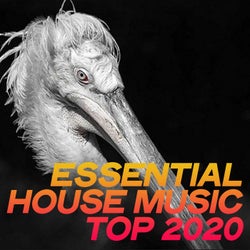 Essential House Music Top 2020