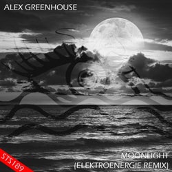 Moonlight (Elektroenergie Remix)