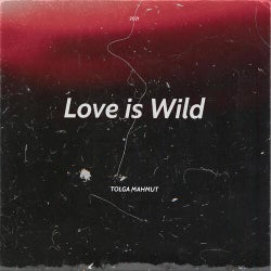 Love Is Wild