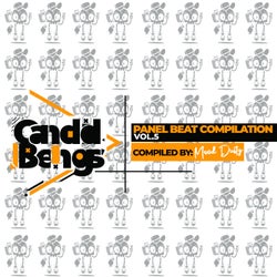 Panel Beat Compilation Vol.5 Compiled By - Mood Dusty