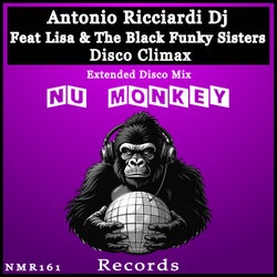 Disco Climax