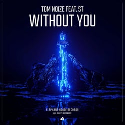 Without You (feat. ST)