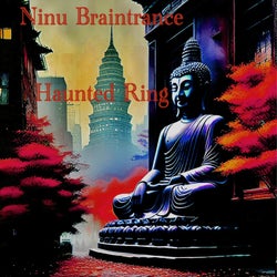 Ninu Braintrance - Haunted