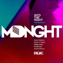 Into the Night (The Remixes)