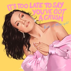 It's Too Late to Say You've Got a Crush