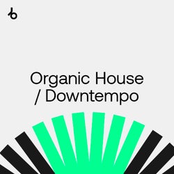 The January Shortlist: Organic H/D