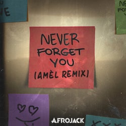 Never Forget You - Amél Extended Remix