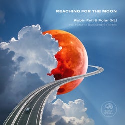 Reaching For The Moon
