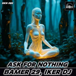 Ask For Nothing (Original Mix)