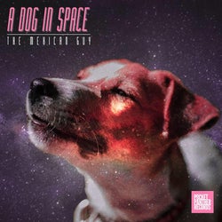 The Mexican Guy - A dog in space chart