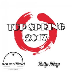 Trip Hop Top Spring 2017
