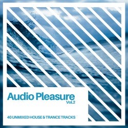 Audio Pleasure Vol.2