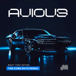 Bout' That Action (The Cube Guys Remix)