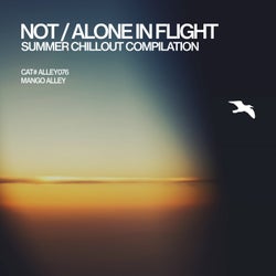 Not / Alone in Flight