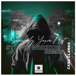 Somebody You're Not (Stupid Whizkid Remix)