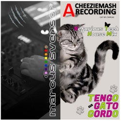 Tengo un Gato Gordo (Nefarious Tech House Mix)
