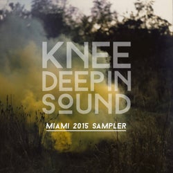 Knee Deep in Sound: Miami 2015 Sampler