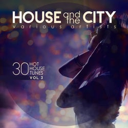 House and the City (30 Hot House Tunes), Vol. 3