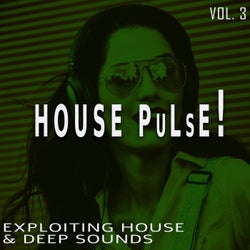 House Pulse!, Vol. 3